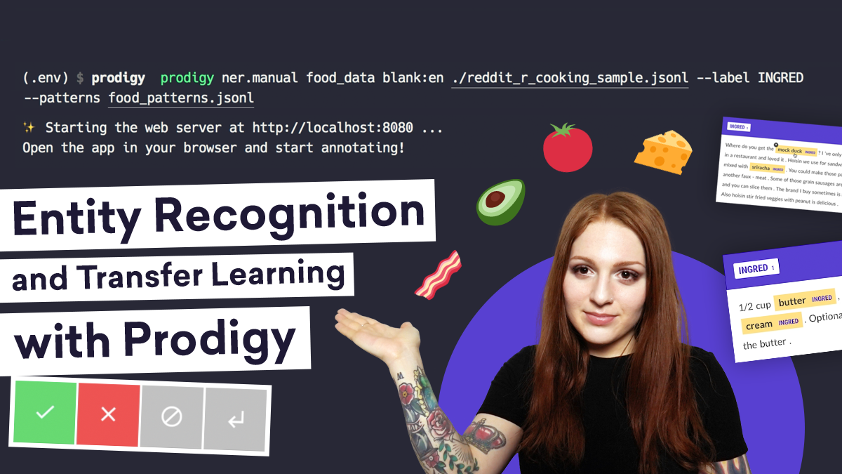 Training an NER model with Prodigy and Transfer Learning