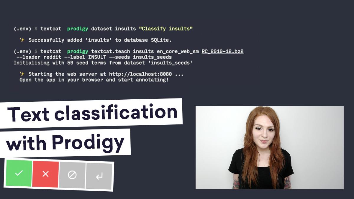 Training an insults classifier with Prodigy