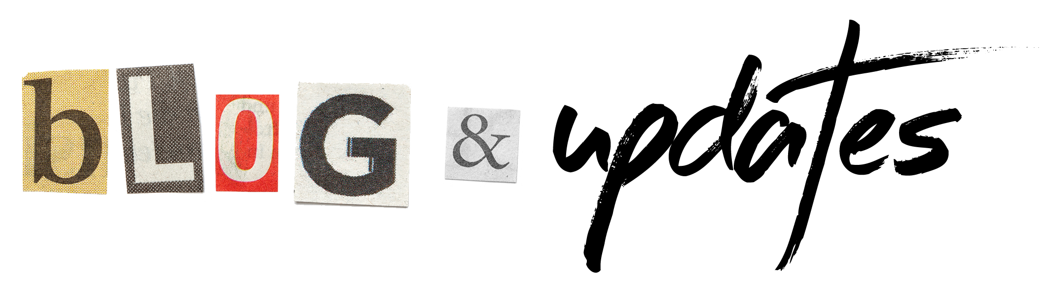 Blog & Updates