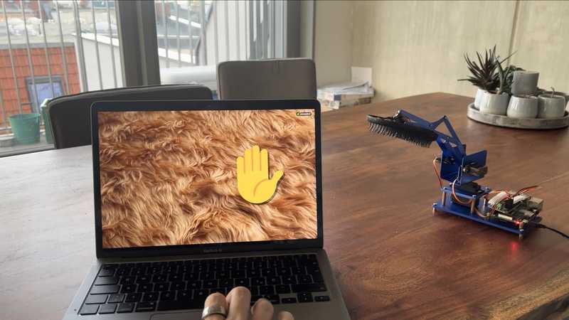Raspberry Pi, Python and cats: my first foray into embedded development ...