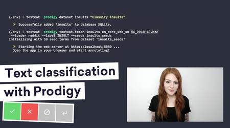 Training an insults classifier with Prodigy